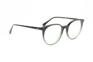 Ana Hickmann Optical Frame HI6313 C01 50