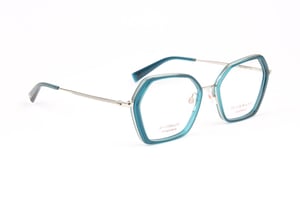 Ana Hickmann Optical Frame HI1249T T02 54 Titanium
