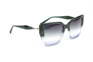 Ana Hickmann Sunglasses AH9423 C02 54