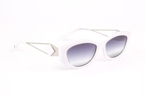Ana Hickmann Sunglasses HI9217 H01 55