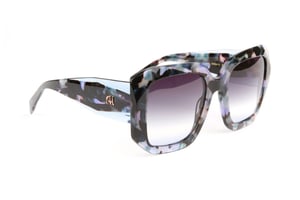 Ana Hickmann Sunglasses AH9413 G21 53