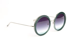 Ana Hickmann Sunglasses HI3194 T01 54