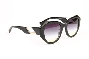 Ana Hickmann Sunglasses HI9225 A01 53