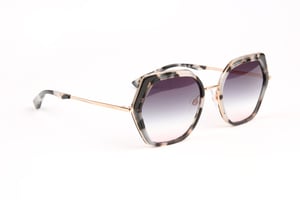Ana Hickmann Sunglasses HI3200 G21 56