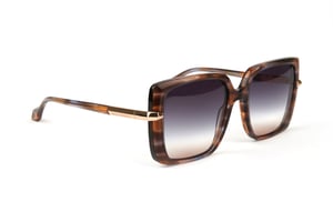 Ana Hickmann Sunglasses AH9362 E01 54