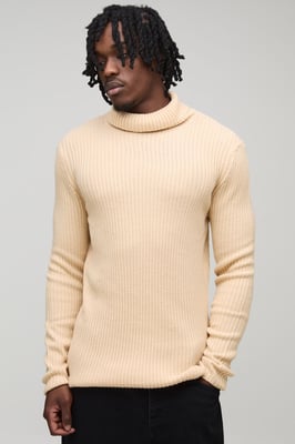 Tall Basic Muscle Fit Ribbed Roll Neck Jumper