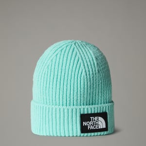 Kids Tnf Box Logo Cuffed Beanie