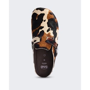 Scholl Dames grace