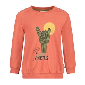 Sturdy Sweat 71600653