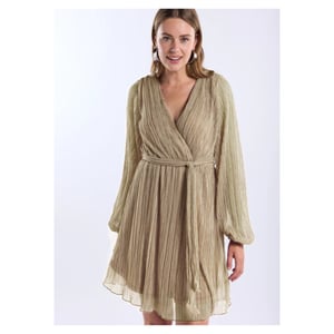 Freebird Dress dalena ls