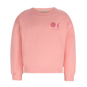 Like Flo Sweat f602-5303 donnie