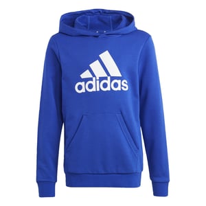 Big Logo Essentials Cotton Hoodie