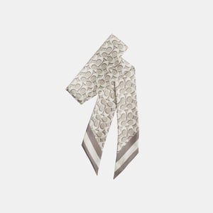 Signature Silk Skinny Scarf
