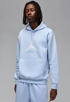 Nike Jordan Essentials Baseline Hoodie in Blue