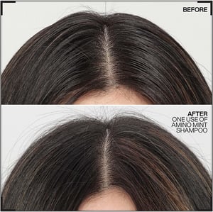 Redken Amino Mint Shampoo 300ml & Acidic Bonding Concentrate Conditioner 300ml