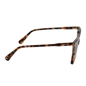 Women's Square Cat Eye Acetate Sunglasses LO728S