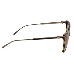 Women's Square Acetate Sunglasses SF2036S