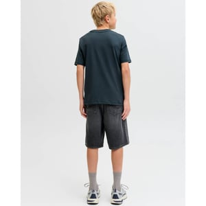 Jack & Jones Short 12292270 alex