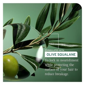 Biolage Strength Recovery Repairing Spray 250ml