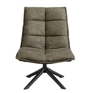Multifurn Fauteuil lucas microleder