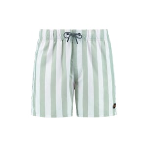 Shiwi men swimshort broad stripe 1441100200 7810 green dust stripe