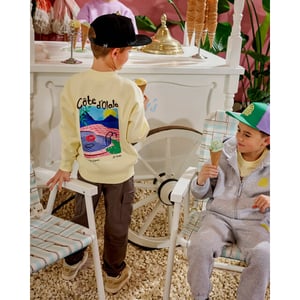 Z8 Broek cooper