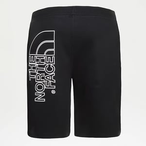The North Face Mens Black Graphic Light Shorts TNF