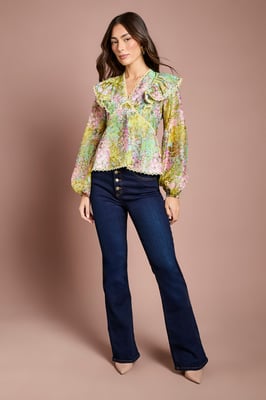 Lace Trim V Neck Organza Blouse