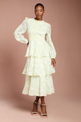 Lace Trim Embroidered Mesh Midi Dress