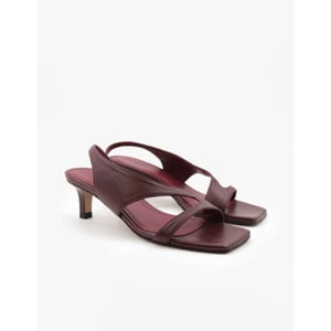 Toral Sofia tl-delfina