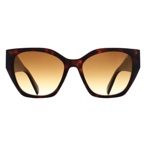 Atum Cat Eye Womens Shiny Brown Tortoise Brown Gradient Zenith