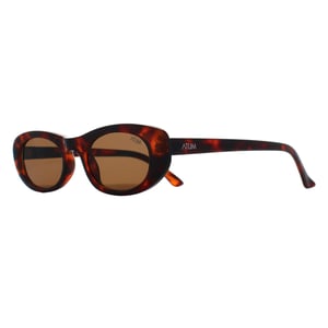 Atum Oval Womens Shiny Brown Tortoise Gold Brown Noctis