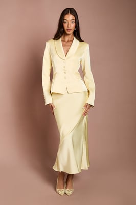 Satin Detail Fitted Skirt
