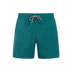 Protest davey beachshort zwemshort heren -