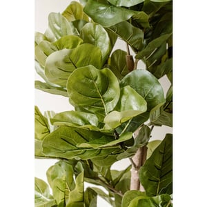 Indore Home Indore silva kunstplant vijg 150cm