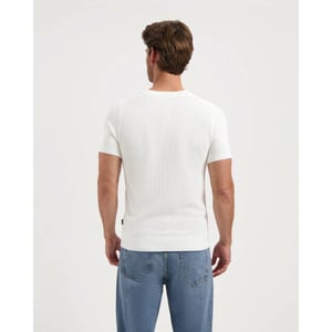 Saint Steve Polo 210157