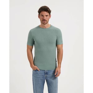 Saint Steve Polo 210157