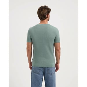 Saint Steve Polo 210157