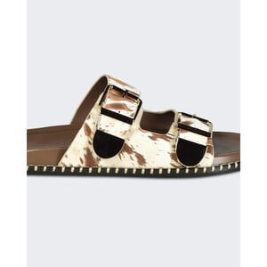 Toral Dames hidra