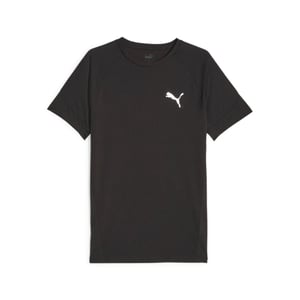 Mens Evostripe Drycell T Shirt in Black