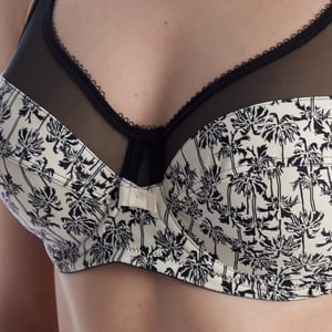 Generous Women's Non-Padded Underwire Bra D3983
