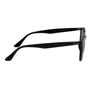 Panthos RB4305F Men's Sunglasses