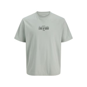 Jack & Jones Jj rebel heren backprint t-shirt jrebchristian