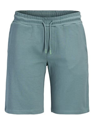 Jack & Jones Mens Shorts Casual Summer Cotton Shorts