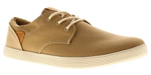 Rockstorm Mens Canvas Shoes Lightweight Kent beige