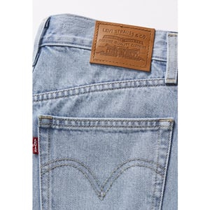 Levi's High baggy short far and wide short