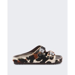 Scholl Dames kim
