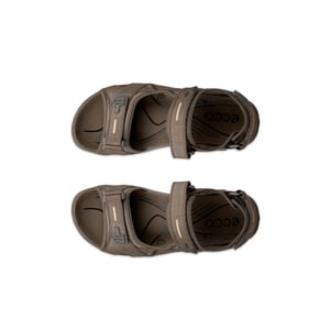 ECCO 069564