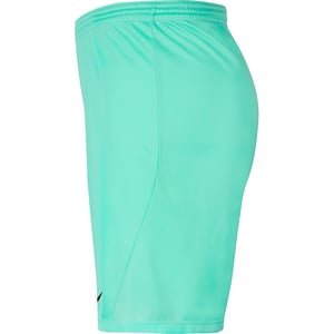Kids Park Shorts Junior in Turquoise