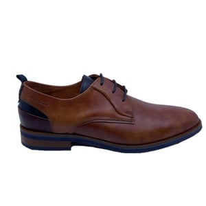 Van Lier 2518642